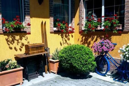 Atrium 24 Suite Sighişoara Eksteriør billede